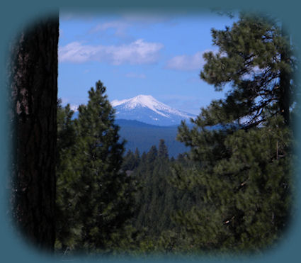 cabins in the forest at gathering light ...  a retreat located in southern oregon near crater lake national park. cabins in the forest pictured here.