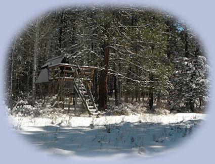 wetlands and wildlife refuges nearby gathering light ... a retreat located in southern oregon near crater lake national park: cabins, treehouses in the forest on the river.