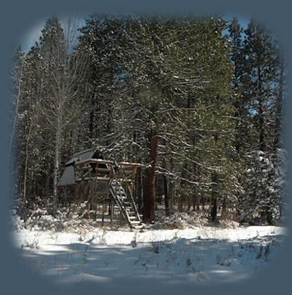 the elfin treehouse: Cabins; tree houses in the forest on the river at gathering light ... a retreat located in south central oregon near crater lake national park.