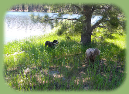 cabins on the river at gathering light ... a retreat in southern oregon: while staying at the retreat travel to fort rock state park on the oregon outback scenic byway, an ancient volcanic outcropping - a maar of tuff that today sits in the midst of cattle ranches, but was once surrounded by water from an ancient lake.