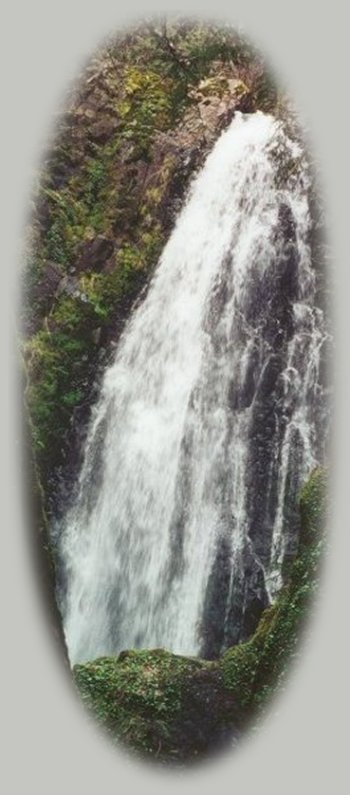 susan creek waterfalls on the wild and scenic umpqua river in the cascade mountains of oregon. travel oregon in our national forests, the umpqua national forest, hiking trails on the wild and scenic umpqua river in the umpqua national forest in the cascade mountains of oregon. camping, picnicking, day use areas, hiking trails, fishing, salmon, steelhead, waterfalls, swimming, camping, picnicking on the river and at toketee and lemolo lakes, hiking the umpqua river trail from swiftwater falls to maidu lake at the source. drive one of the many scenic byways in oregon, the rogue umpqua scenic byway, to crater lake national park in oregon along the wild and scenic umpqua river in the cascade mountains of oregon, one of the many wild and scenic rivers in oregon.