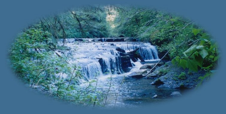 waterfalls on sweet creek, hiking near florence on the oregon coast in the siuslaw national forest.