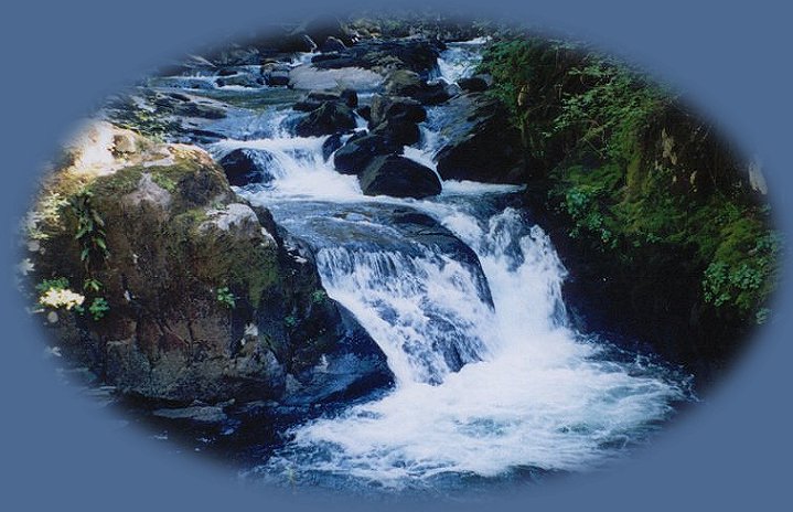 waterfalls on sweet creek, hiking near florence on the oregon coast in the siuslaw national forest.