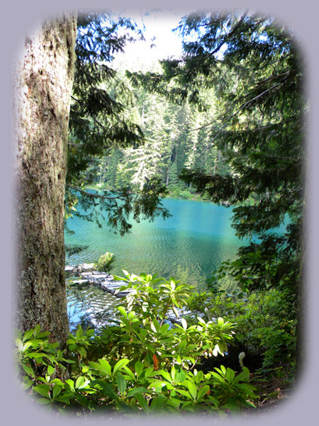 twin Lakes hiking trails, backpacking trails, campgrounds, mountain lakes, off the rogue umpqua national scenic byway in the umpqua national forest in oregon, hiking, backpacking into the lakes gives stupendous views of the cascade mountains of oregon: mt thielsen, crater lake, gives old growth forests, abundant wildflowers of all types. beautiful, almost beyond words, lakes abutting a magnificent cliff face, campsites available with fire rings all this in the umpqua river watershed of the umpqua national forest, abundance in itself: little river watershed of the wild and scenic umpqua river watershed: shadow waterfalls and hiking trails, cavitt creek recreation area: waterfalls, day use and campgrounds under the auspices of roseburg, oregon blm, wolf creek waterfalls and hiking trail, yakso waterfalls and hiking trail, hemlock waterfalls and hiking trail, (hemlock waterfalls and yakso waterfalls are at the campground for the lake in the woods and hemlock campground), grotto waterfalls and hiking trail. north umpqua river hiking trails, camping, rafting, fishing and more: deadline falls and hiking trail, north umpqua river hiking trail in oregon, susan creek waterfall: hiking trail, campground and day use area, fall creek waterfall and hiking trail, steamboat creek waterfalls and hiking trail and campground, toketee waterfalls and hiking trails, watson waterfalls and hiking trails, lemolo waterfalls, lemolo lake, campgrounds, boating, fishing, swimming. south umpqua river: south umpqua waterfalls: swimming, picnicking, cathedral waterfalls and hiking trail, campbell waterfalls and hiking trail in boulder creek wilderness. row river watershed in the umpqua river watershed of oregon: brice creek: campgrounds, day use areas, swimming, sunbathing, wildwater waterfalls lane country park: picnicking and swimming, hiking trails and waterfalls, trestle creek upper and lower waterfalls and hiking trails, parker waterfalls and hiking trails, layng creek: campgrounds, spirit waterfalls and hiking trails, moon falls and hiking trails, pinard waterfalls and hiking trails.
