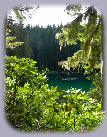 twin Lakes hiking trails, backpacking trails, campgrounds, mountain lakes, off the rogue umpqua national scenic byway in the umpqua national forest in oregon, hiking, backpacking into the lakes gives stupendous views of the cascade mountains of oregon: mt thielsen, crater lake, gives old growth forests, abundant wildflowers of all types. beautiful, almost beyond words, lakes abutting a magnificent cliff face, campsites available with fire rings all this in the umpqua river watershed of the umpqua national forest, abundance in itself: little river watershed of the wild and scenic umpqua river watershed: shadow waterfalls and hiking trails, cavitt creek recreation area: waterfalls, day use and campgrounds under the auspices of roseburg, oregon blm, wolf creek waterfalls and hiking trail, yakso waterfalls and hiking trail, hemlock waterfalls and hiking trail, (hemlock waterfalls and yakso waterfalls are at the campground for the lake in the woods and hemlock campground), grotto waterfalls and hiking trail. north umpqua river hiking trails, camping, rafting, fishing and more: deadline falls and hiking trail, north umpqua river hiking trail in oregon, susan creek waterfall: hiking trail, campground and day use area, fall creek waterfall and hiking trail, steamboat creek waterfalls and hiking trail and campground, toketee waterfalls and hiking trails, watson waterfalls and hiking trails, lemolo waterfalls, lemolo lake, campgrounds, boating, fishing, swimming. south umpqua river: south umpqua waterfalls: swimming, picnicking, cathedral waterfalls and hiking trail, campbell waterfalls and hiking trail in boulder creek wilderness. row river watershed in the umpqua river watershed of oregon: brice creek: campgrounds, day use areas, swimming, sunbathing, wildwater waterfalls lane country park: picnicking and swimming, hiking trails and waterfalls, trestle creek upper and lower waterfalls and hiking trails, parker waterfalls and hiking trails, layng creek: campgrounds, spirit waterfalls and hiking trails, moon falls and hiking trails, pinard waterfalls and hiking trails.