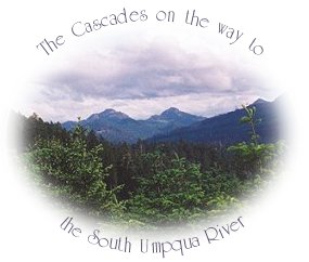 sightseeing in the cascade mountains on the way to the south umpqua river and waterfalls.