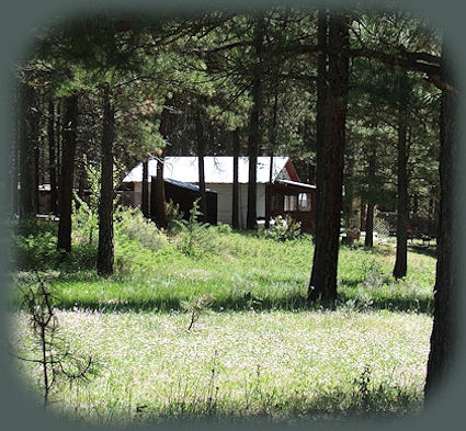 cabins on the river at gathering light ... a retreat near crater lake national park in southern oregon: cabins, treehouses on the river in the forest.