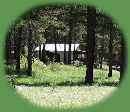 stay in the cabins in the forest at Gathering Light retreat in southern oregon near crater lake national park; experience volcanoes, geology, hiking trails, birding trails, oregon geology, fremont winema national forest, national wildlife refuges and wetlands in klamath basin in the pacific flyway of oregon: eagle ridge birding trail, a klamath county park on shoalwater bay in klamath lake, nestled in the cascade mountains on the western slopes of doak mountain.