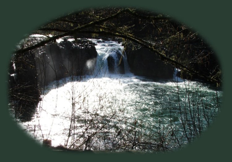 wildwood waterfalls a lane county park: day use area, not far from the hiking trails at brice creek, so have it all: enjoy camping in the umpqua national forest and hiking trails to waterfalls in the wild and scenic umpqua river watershedt: brice creek waterfalls, moon waterfalls, pinard waterfalls, spirit falls; hiking trails off the Rogue Umpqua Scenic byway on the wild and scenic umpqua river in the umpqua national forest: toketee waterfalls, watson falls hiking trails, fall creek falls, susan creek day use area, susan creek hiking trails, susan creek campgrounds off the rogue umpqua scenic byway, toketee campgrounds off the rogue umpqua scenic byway, lemolo campgrounds off the rogue umpqua scenic byway, diamond lake campgrounds, boulder creek campgrounds, canyon creek campgrounds, umpqua national forest campgrounds, clearwater falls campgroud, island campgrounds, lake in the woods campgrounds, bogus creek campgrounds, devil's campground on cow creek, cedar creek campground on brice creek, rujada campground on layng creek, apple creek campgrounds, whitehorse falls campground, susan creek waterfalls, north umpqua river, south umpqua river, umpqua river hiking trails accessed off the rogue umpqua scenic byway, forest service campgrounds, blm campgrounds, travel oregon through the cascade mountains, cavitt creek recreation area, deadline falls, steelhead in the umpqua river, angling, hiking trails to lemolo waterfalls, clearwater waterfalls, whitehorse waterfalls, clearwater river, toketee lake, umpqua hot springs, steamboat creek waterfalls, warm springs waterfalls, lemolo lake; hiking trails on the little river in the umpqua river watershed in the umpqua national forest: wolf creek waterfalls, grotto falls, hemlock waterfalls, hemlock lake, cavitt creek waterfalls, recreation area, shadow waterfalls, yakso waterfalls; hiking trails on the south umpqua river watershed: south umpqua waterfalls, campbell waterfalls, hiking trails in theboulder creek wilderness area, hiking trails in the mt thielsen rogue umpqua divide wilderness area, cathedral waterfalls off the south umpqua river; hiking trails in the row river watershed: moon, spirit and pinard waterfalls.