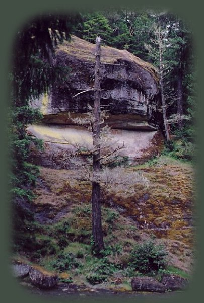 the trailhead for the hiking trail to wolf creek waterfalls; enjoy camping in the umpqua national forest and hiking trails to waterfalls in the wild and scenic umpqua river watershedt: brice creek waterfalls, moon waterfalls, pinard waterfalls, spirit falls; hiking trails off the Rogue Umpqua Scenic byway on the wild and scenic umpqua river in the umpqua national forest: toketee waterfalls, watson falls hiking trails, fall creek falls, susan creek day use area, susan creek hiking trails, susan creek campgrounds off the rogue umpqua scenic byway, toketee campgrounds off the rogue umpqua scenic byway, lemolo campgrounds off the rogue umpqua scenic byway, diamond lake campgrounds, boulder creek campgrounds, canyon creek campgrounds, umpqua national forest campgrounds, clearwater falls campgroud, island campgrounds, lake in the woods campgrounds, bogus creek campgrounds, devil's campground on cow creek, cedar creek campground on brice creek, rujada campground on layng creek, apple creek campgrounds, whitehorse falls campground, susan creek waterfalls, north umpqua river, south umpqua river, umpqua river hiking trails accessed off the rogue umpqua scenic byway, forest service campgrounds, blm campgrounds, travel oregon through the cascade mountains, cavitt creek recreation area, deadline falls, steelhead in the umpqua river, angling, hiking trails to lemolo waterfalls, clearwater waterfalls, whitehorse waterfalls, clearwater river, toketee lake, umpqua hot springs, steamboat creek waterfalls, warm springs waterfalls, lemolo lake; hiking trails on the little river in the umpqua river watershed in the umpqua national forest: wolf creek waterfalls, grotto falls, hemlock waterfalls, hemlock lake, cavitt creek waterfalls, recreation area, shadow waterfalls, yakso waterfalls; hiking trails on the south umpqua river watershed: south umpqua waterfalls, campbell waterfalls, hiking trails in theboulder creek wilderness area, hiking trails in the mt thielsen rogue umpqua divide wilderness area, cathedral waterfalls off the south umpqua river; hiking trails in the row river watershed: moon, spirit and pinard waterfalls.